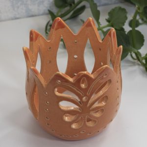 narancs-pillango-a02