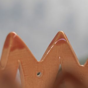 narancs-pillango-a05