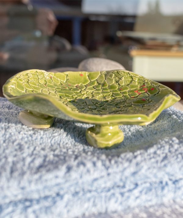 Hawaii-csipkes-a01 Hawaii-csipkes-a01