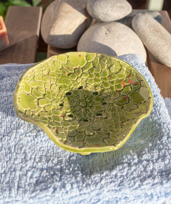 Hawaii-csipkes-a02 Hawaii-csipkes-a02