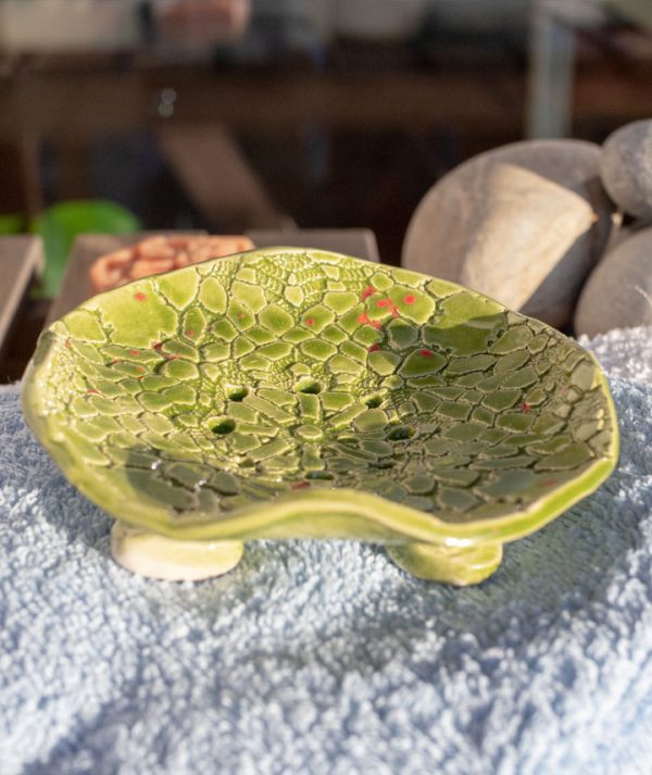 Hawaii-csipkes-a03 Hawaii-csipkes-a03