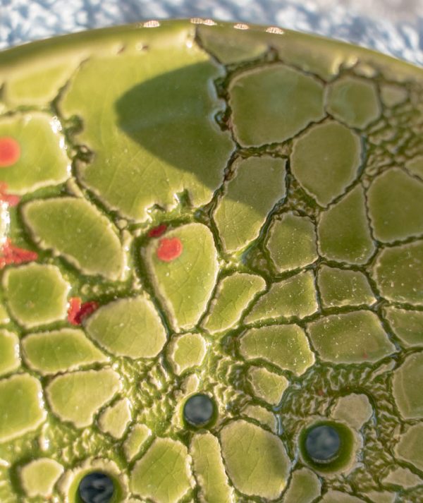 Hawaii-csipkes-a08 Hawaii-csipkes-a08