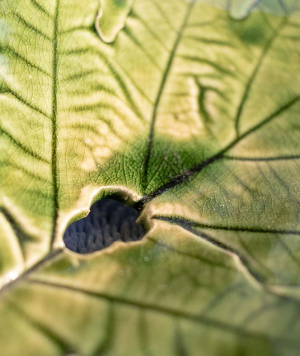 gesztenyefalevel-a08 gesztenyefalevel-a08