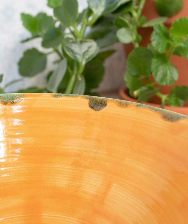 zold-narancs-a03 zold-narancs-a03